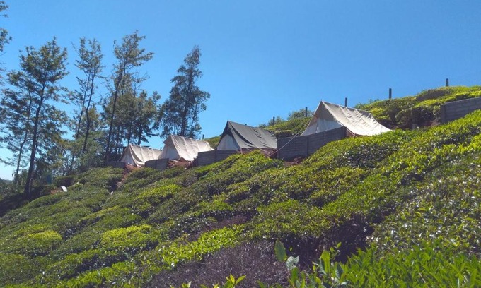 Ithalar Otro | Janardan Tea Campsite Ooty