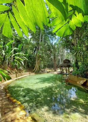 Sao Jose do Rio Claro Hotel | Jardim da Amazônia Lodge