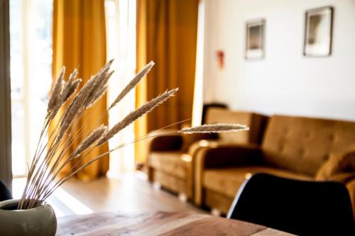 Sventoji Apartamento | Jaukūs apartamentai su lauko baseinu, sporto sale ir vaikų žaidimų kambariu netoli jūros!
