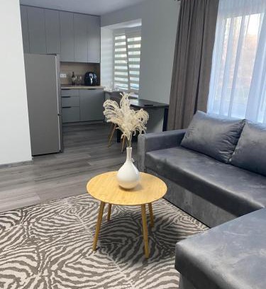 Siauliai City Center Apartamento | Jaukus butas Šiaulių centre