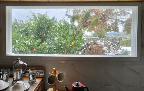 Aewol Casa | Jeju Ya Aewol Dokchae Stay