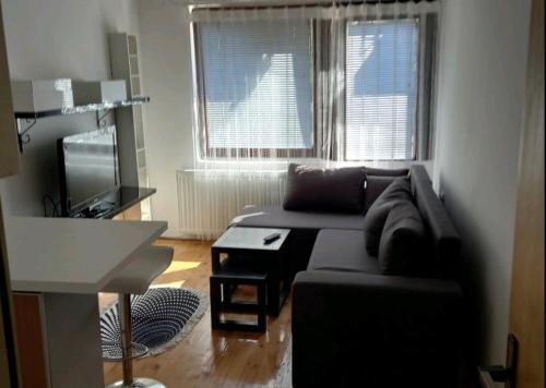 Zlatibor Apartamento | Jelena