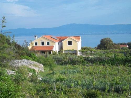 Mirce Apartamento | Jenny`s House