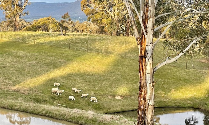 Good Forest Otro | Jenolan Luxury Farm Stay in Blue Mountains