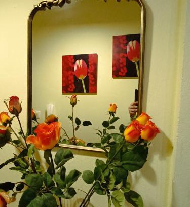 Apalos Apartamento | joanna's house