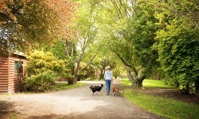 Johanna Casa | Johanna River Farm & Cottages