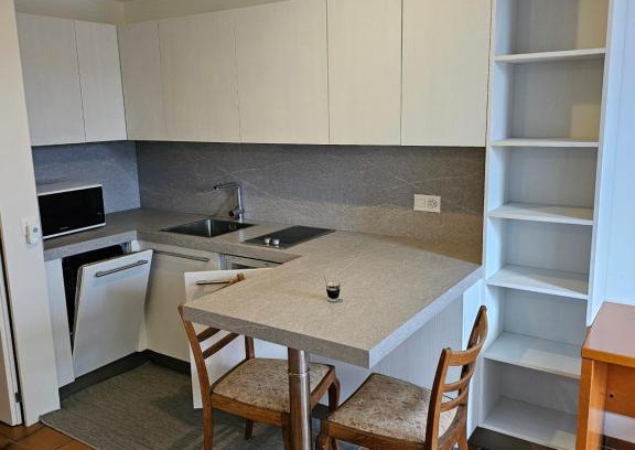 Lausanne Apartamento | Joli Studio Petite-Source