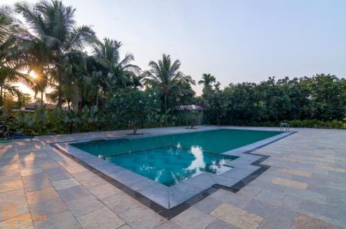 Gondhalpada Complejo | Jomo Resort