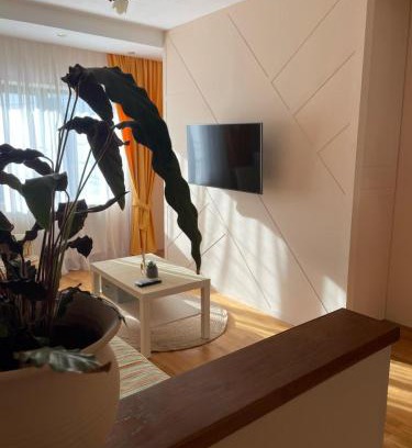 Tirgu Mures Apartamento | Joy Apartament