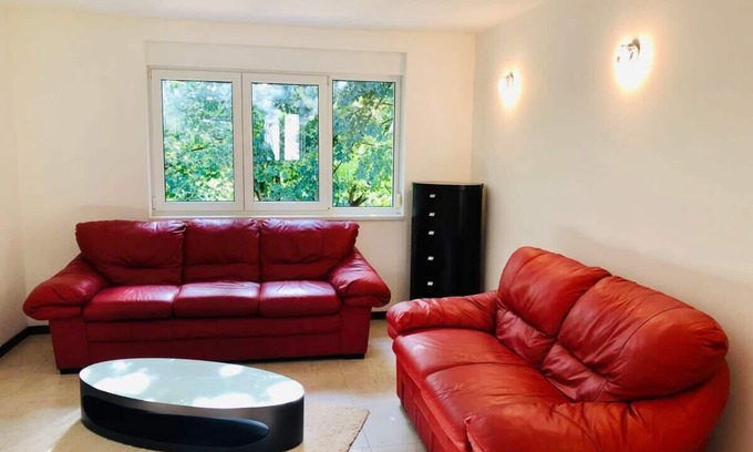Old City Apartamento | Joy City Stay George Enescu 12