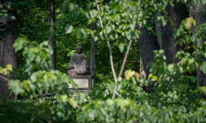 Oak Hill Casa | Joy Cottage - 3 Bedroom/3 Bath - Waterfront Property on Buddhist Temple Grounds