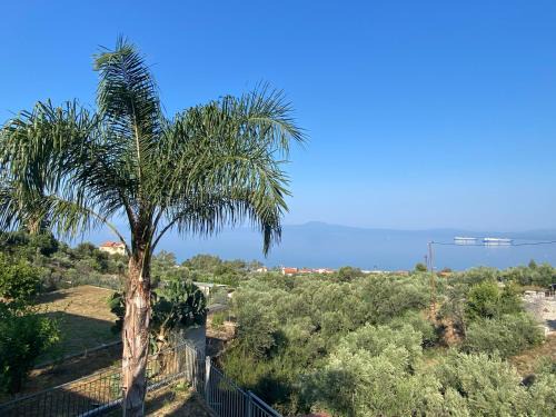 Diasella Apartamento | JTverga SEA VIEW HOMES A2 with Parking