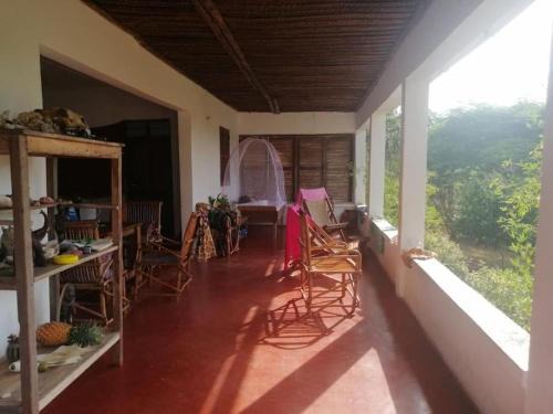 Pangani Casa | Juani Pangani
