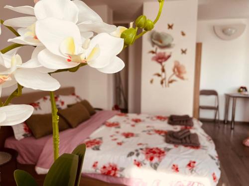 Zalau Apartamento | Julia Apartament