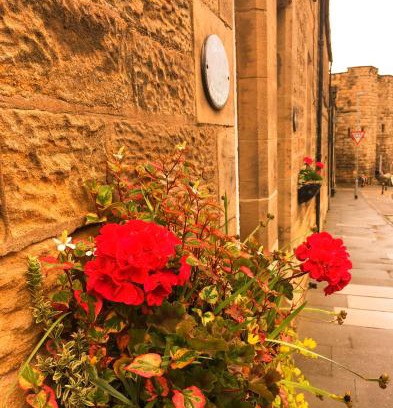 South Charlton Casa | Juliet Cottage, late Georgian treasure, charming, cosy and historic, only a short walk to Alnwick Castle