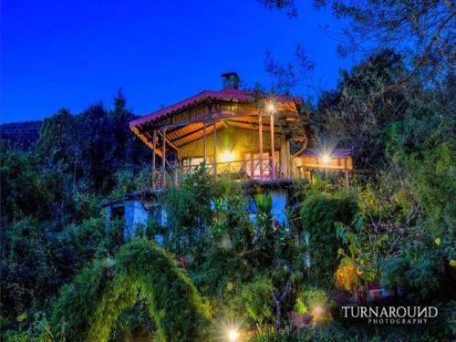 Pangot Cabina | Jungle Lore Birding Lodge