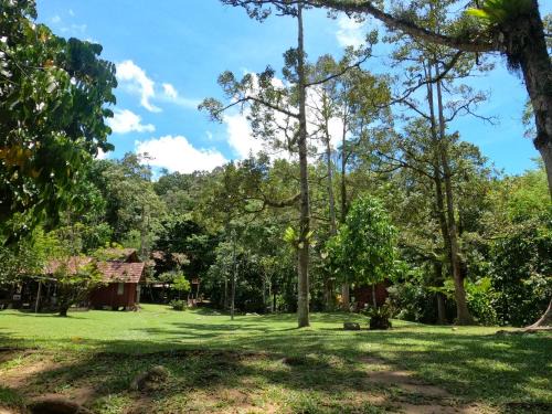 Bentong Otro | Jungle Zen Janda Baik Campsite