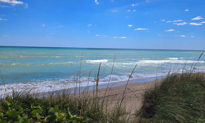 Stuart Condominio | Just Beachy: A Breezy 1-Bedroom Escape
