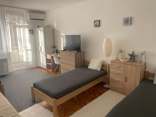 Kiskunfelegyhaza Apartamento | Központi apartman