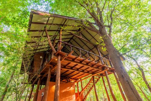 Attikulama Complejo | Kaala Kalaththewa Luxury Eco Resort