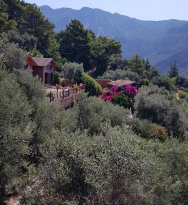 Kabak Valley Cama Y Desayuno | Kabak Armes Otel