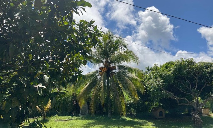 Petit-Bourg Casa | Kaban malaka
