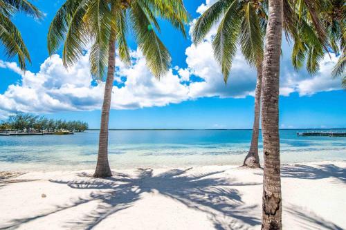 Rum Point Apartamento | Kaibo Escape - Beachfront Condo with a Special Last-Minute Rate
