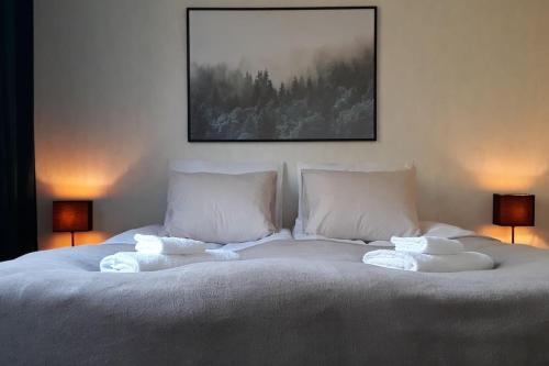 Iisalmi Apartamento | Kaksio lähellä keskustaa