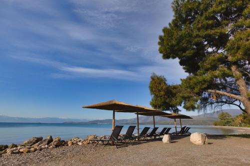 Itea Apartamento | Kalafatis Garden House