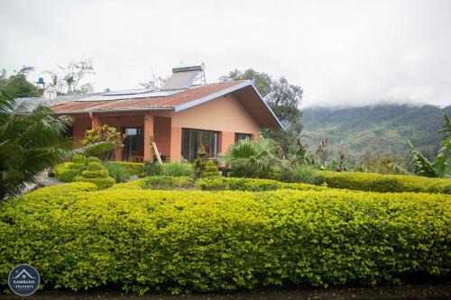 Ranomafana Apartamento | Kambana Résidence