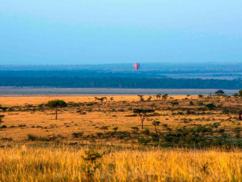 Mara North Conservancy Otro | Kandili Camp