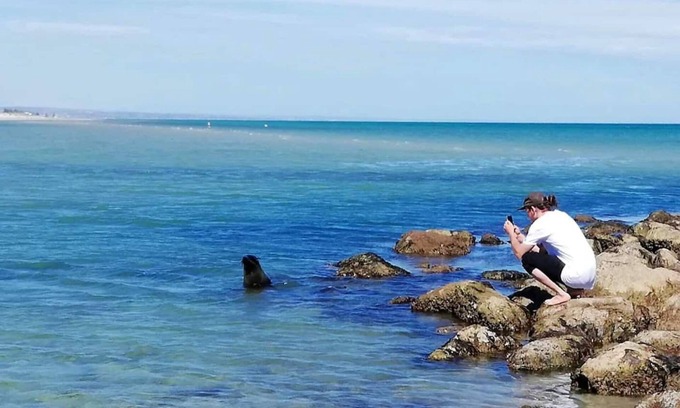 Baudin Beach Casa | Kangaroo Island in Style: Free WiFi, Beach Access, Wildlife, and Fishing!