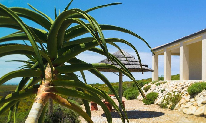 Pringle Bay Casa | Kapensis Guesthouse