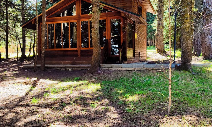 Osmangazi Otro | Karinna Forest Houses