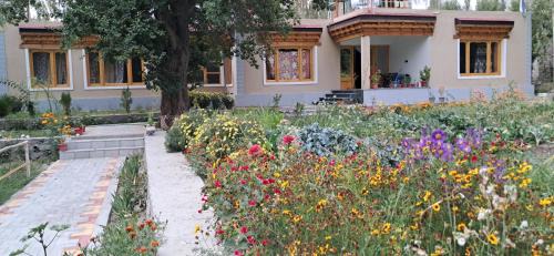 Nubra Valley Casa | KARMA Homestay Sumur Nubra