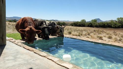 Inxuba Yethemba Casa | Karoo Ridge Eco-Lodges