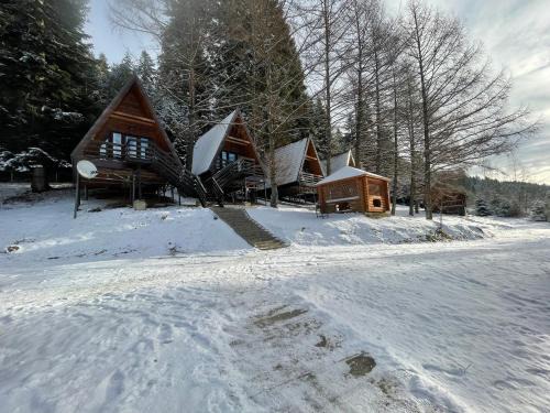 Staryava Cabina | Karpatskyy