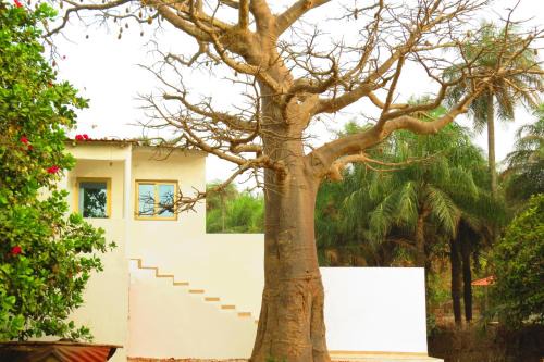 Casamance Cama Y Desayuno | KASA BOUBAK avec cuisine extérieure à 50 M DE LA PLAGE