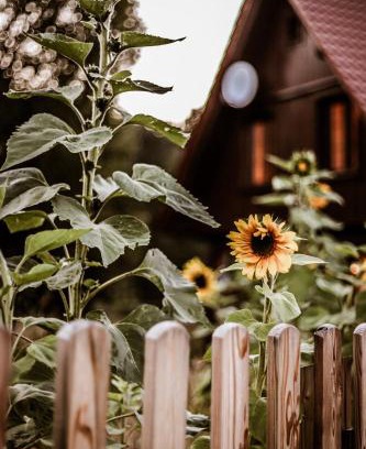 Mezowo Casa | Kaszubski Dom Podcieniowy Bohema