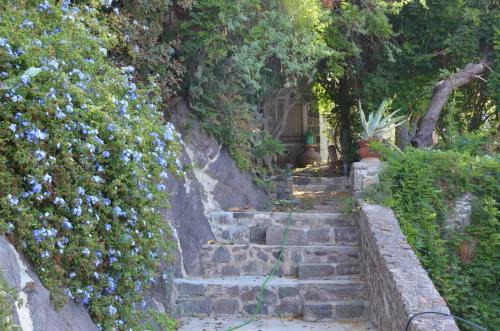 Mithimna Apartamento | Katerina's Guest Houses