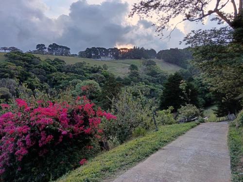 Concepcion Apartamento | Katty Mountain View