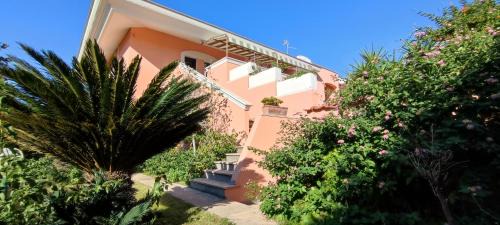 Anzio Casa | Katy's Garden