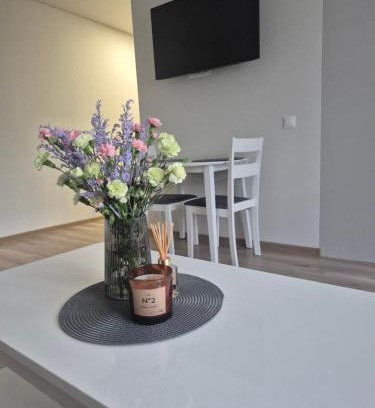 Kaunas Apartamento | Kaunas City Apartment