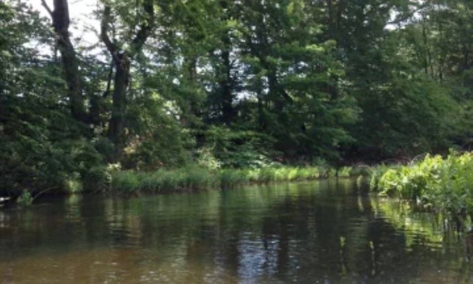 Marcellus Alquiler De RV | Kayak and Campers Paradise