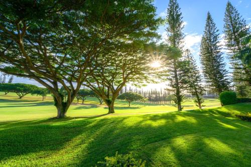 Kapalua Apartamento | KBM Resorts - 2 FREE CARS - Kapalua Golf Villa - Golf Course view - 2 2-Bedroom Condos KGV-14P6V3