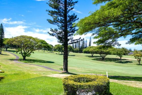 Kapalua Apartamento | KBM Resorts 8-Bedroom Kapalua Golf Collection Multi Unit Listing Same Enclave Golf Course Views 4 Free Rental Cars KGV-14P3P6V3T6