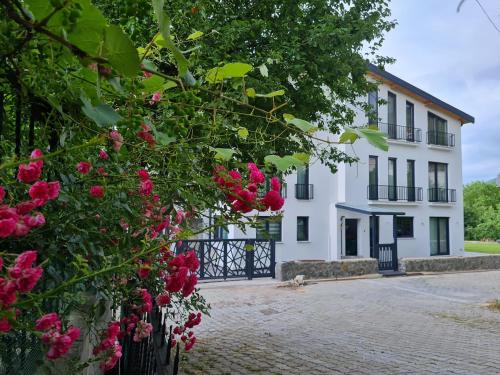 Masukiye Apartamento | KD Apartments