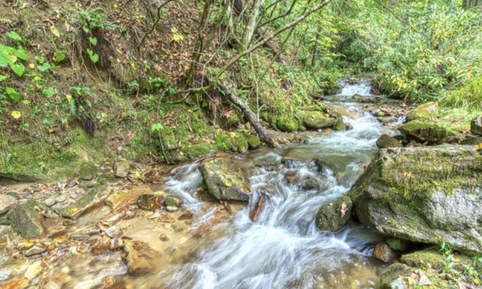 Cataloochee Ranch Casa | Keaton Creekside Cottage - Cozy, Charming, Incredible Location In Maggie Valley