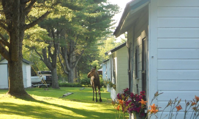 Brookton Cabaña | Kelsey's Cottage en Jackson Brook Lake en Brookton Maine