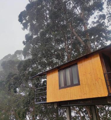 Vattakanal Apartamento | Kelvin Eva wood house